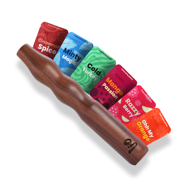 Journey Pack + Regalos Gratis